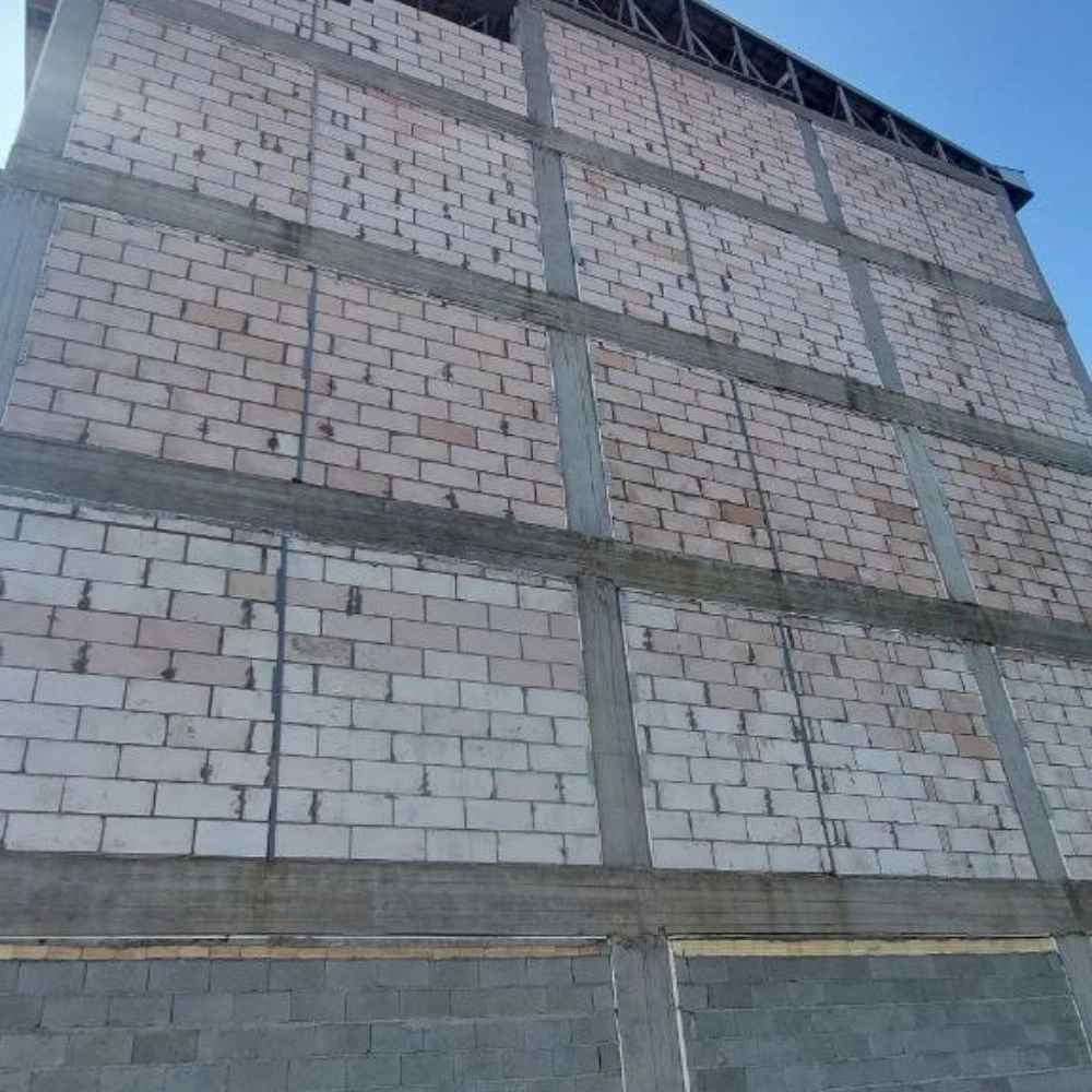 1733644238146.webp